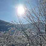 Olenka