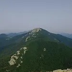 Olenka