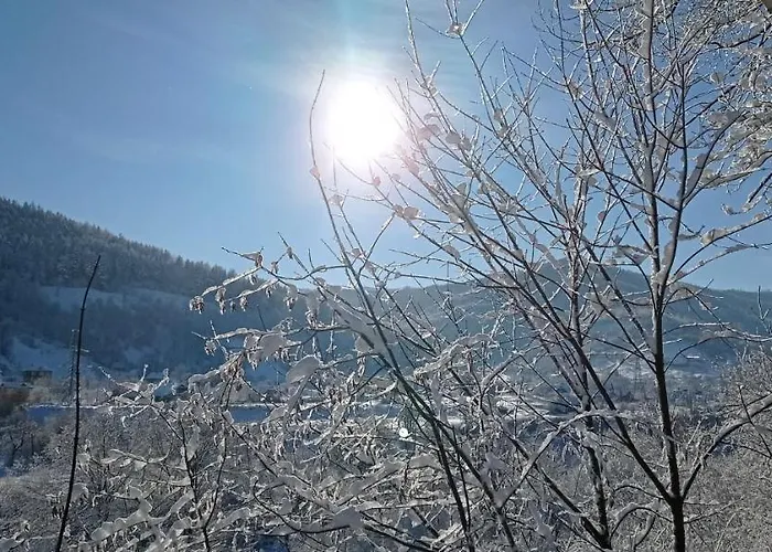 Olenka
