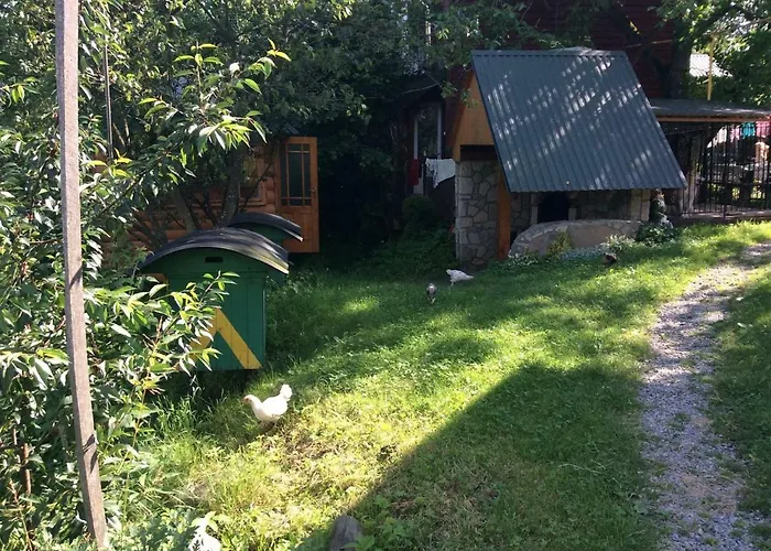 Tatil Evi Olenka