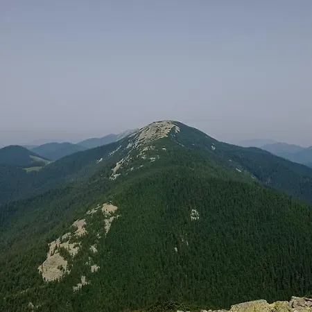 Olenka