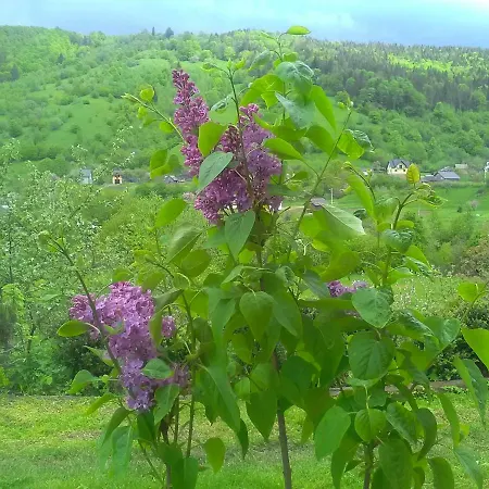 Olenka *